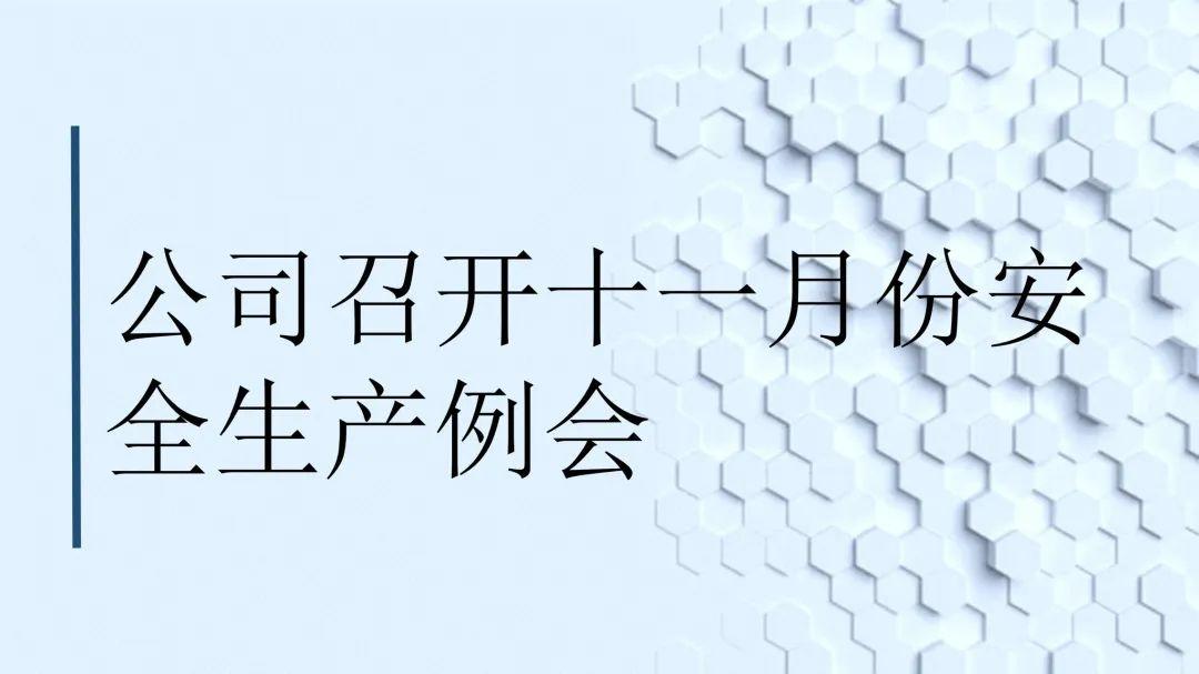 公司召开十一月份安全生产例会